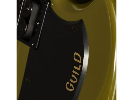 Cuerpo Solido ENCOLADO | 2 x HB-2 | Diapason RW - Image 7