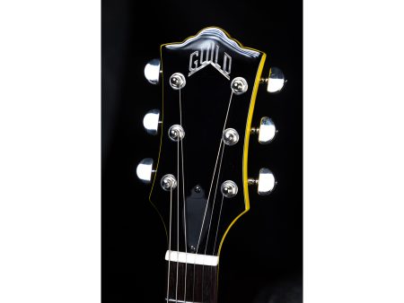 Cuerpo Solido ENCOLADO | 2 x HB-2 | Diapason RW - Image 7
