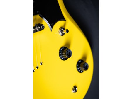 Cuerpo Solido ENCOLADO | 2 x HB-2 | Diapason RW - Image 9