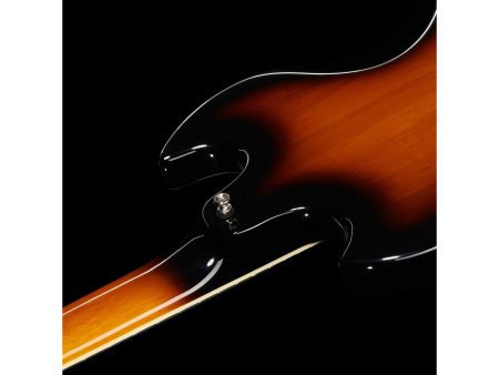 Cuerpo Solido ENCOLADO | 2xHB-2| Diapason RW - Image 10