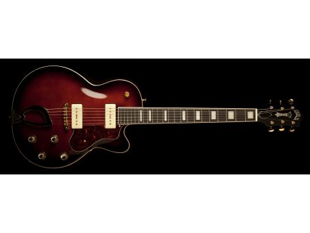 Cuerpo HUECO Encolado| 2x Franz P-90s | Diap RW - Image 9