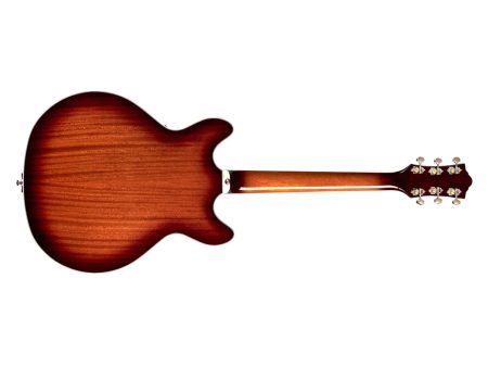 Semi Hueca ENCOLADA | 2x HB | Double Cut c/VIBRATO - Image 3