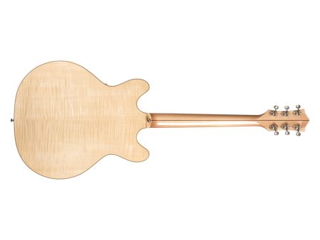Semi Hueca Maple |2x LB-1 Little Bucker|Diap EBANO - Image 2
