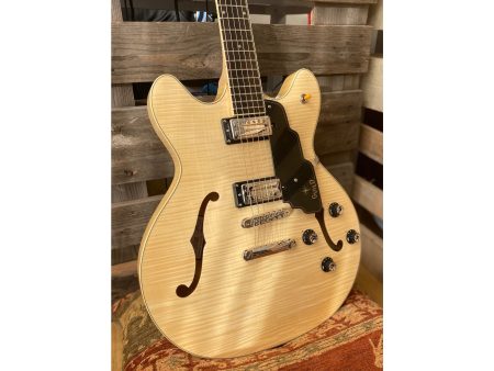 Semi Hueca Maple |2x LB-1 Little Bucker|Diap EBANO - Image 7