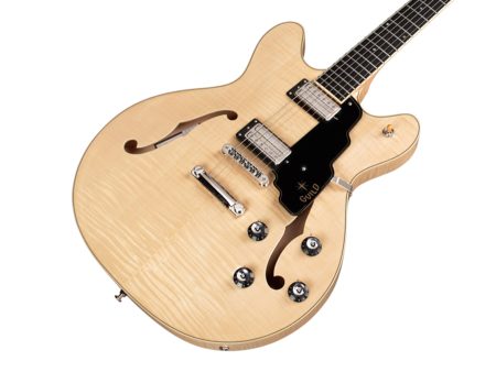 Semi Hueca Maple |2x LB-1 Little Bucker|Diap EBANO - Image 4