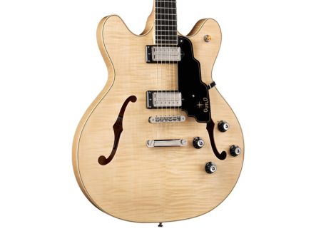 Semi Hueca Maple |2x LB-1 Little Bucker|Diap EBANO - Image 6