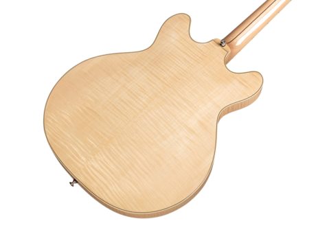 Semi Hueca Maple |2x LB-1 Little Bucker|Diap EBANO - Image 5