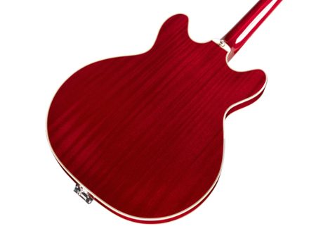 Semi Hueca | 2 xLB-1 Little Bucker|VIBRATO|ESTUCHE - Image 5