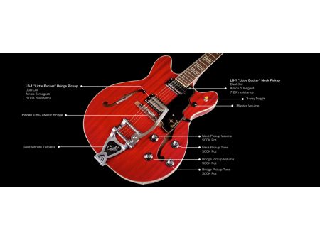 Semi Hueca | 2 xLB-1 Little Bucker|VIBRATO|ESTUCHE - Image 7