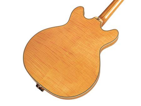 Semi Hueca Maple|2xLB-1 Little Bucker|VIBRATO|ESTUCHE - Image 5