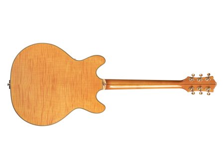 Semi Hueca Maple|2xLB-1 Little Bucker|VIBRATO|ESTUCHE - Image 2