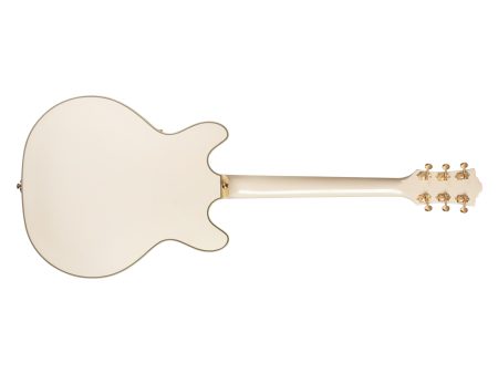 Semi Hueca Maple|2xLB-1 Little Bucker|VIBRATO|ESTUCHE - Image 2