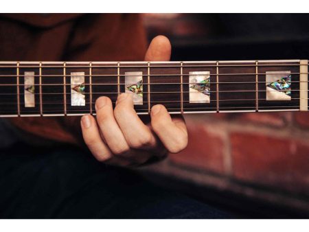 Semi Hueca | 2x DeArmond Dynasonic|VIBRATO|ESTUCHE - Image 9