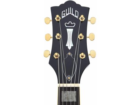 Cuerpo Hueco | 2x FRANZ P-90 | Puente HARP - Image 10