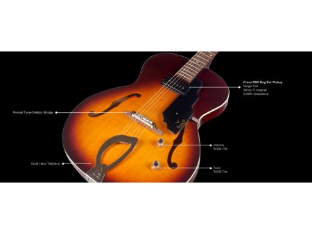 Cuerpo Hueco THINLINE | 1x FRANZ P-90 | Puente HARP - Image 7