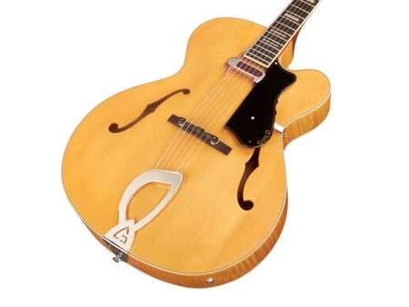 Cuerpo Hueco | 1x DeArmond 1000 Rhythm Chief | ESTUCHE - Image 4