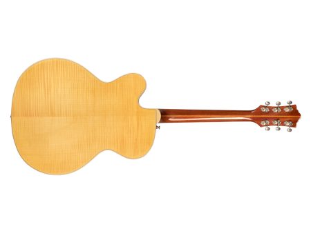 Cuerpo Hueco | 1x DeArmond 1000 Rhythm Chief | ESTUCHE - Image 3
