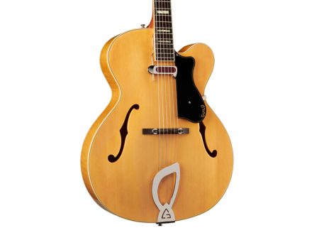 Cuerpo Hueco | 1x DeArmond 1000 Rhythm Chief | ESTUCHE - Image 6