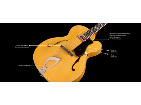 Cuerpo Hueco | 1x DeArmond 1000 Rhythm Chief | ESTUCHE - Image 7