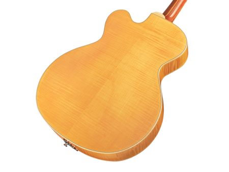 Cuerpo Hueco | 1x DeArmond 1000 Rhythm Chief | ESTUCHE - Image 5