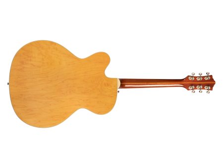 Cuerpo Hueco | 2x FRANZ P-90 | c/VIBRATO y ESTUCHE - Image 3