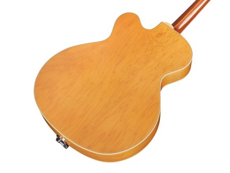 Cuerpo Hueco | 2x FRANZ P-90 | c/VIBRATO y ESTUCHE - Image 5