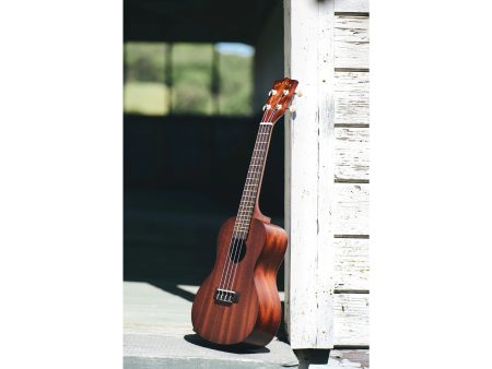 Ukelele CONCIERTO Caoba - Image 5
