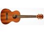 TENOR Tapa&Fondo Caoba Satin EQ