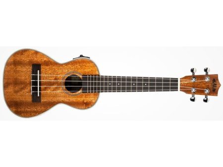 CONCERT Caoba EQ FUNDA