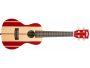 Serie Surf Ukelele CONCIERTO c/FUNDA