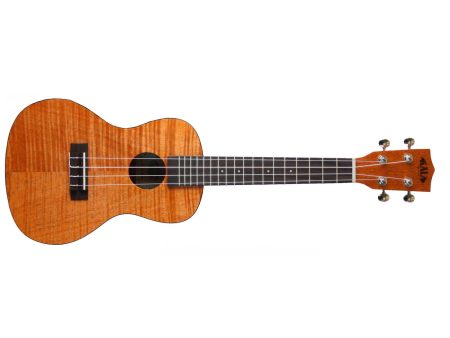 CONCERT Tapa&Fondo Caoba Exotic Satin