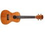 CONCERT Tapa&Fondo Caoba Exotic Satin
