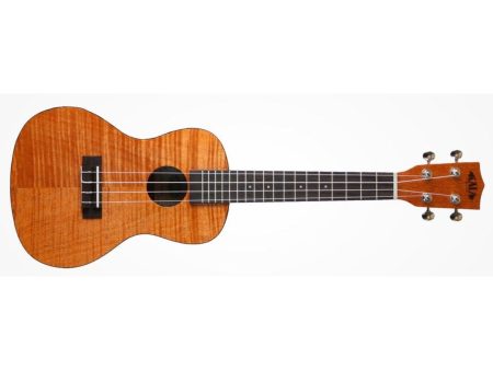 CONCERT Tapa&Fondo Caoba Exotic Satin FUNDA
