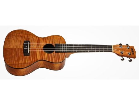 CONCERT Tapa&Fondo Caoba Exotic Satin FUNDA - Image 2