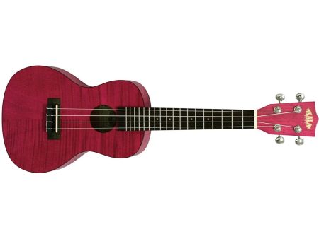 CONCERT Exotic Caoba Magenta