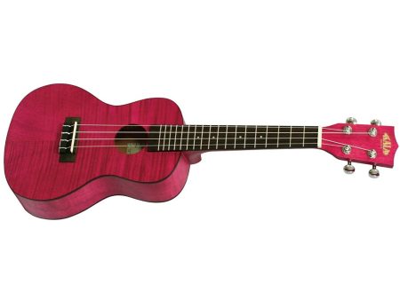 CONCERT Exotic Caoba Magenta FUNDA - Image 2