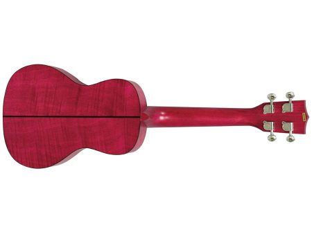 CONCERT Exotic Caoba Magenta FUNDA - Image 3