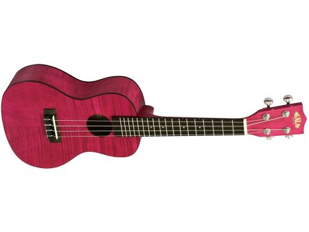 CONCERT Exotic Caoba Magenta FUNDA - Image 4
