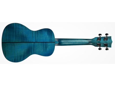 CONCERT Exotic Caoba Blue FUNDA - Image 3