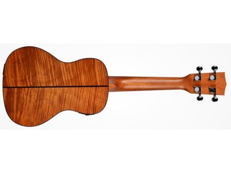 CONCERT Exotic Caoba EQ FUNDA - Image 3