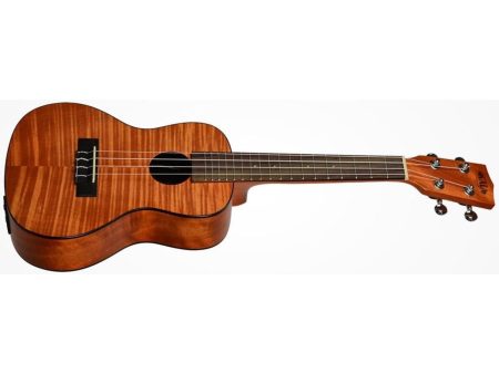 CONCERT Exotic Caoba EQ FUNDA - Image 4