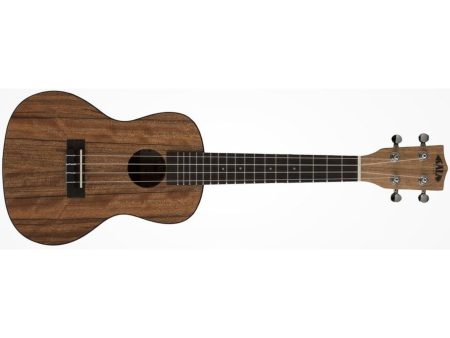 CONCERT Pacific Nogal FUNDA