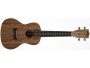 CONCERT Pacific Nogal FUNDA