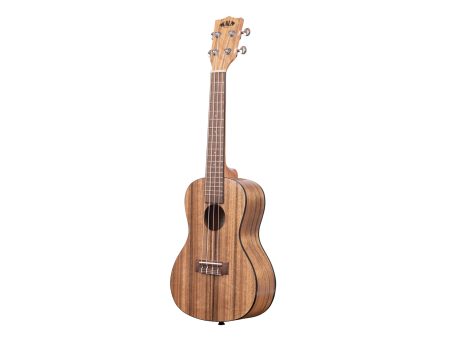 PACIFIC WALNUT Ukelele CONCIERTO Nogal c/FUNDA - Image 3