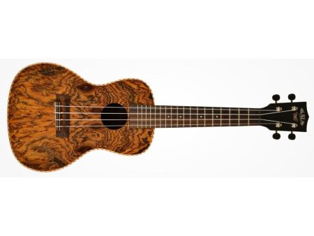 CONCERT Butterfly ESTUCHE