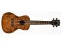 CONCERT Butterfly ESTUCHE