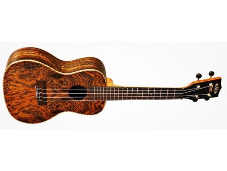 CONCERT Butterfly ESTUCHE - Image 3