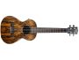 TENOR Butterfly EQ
