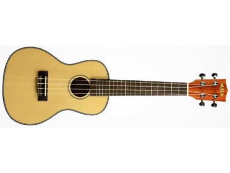 CONCERT Tapa Solida Abeto FUNDA