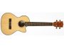 TENOR Tapa Solida Abeto Cutaway EQ FUNDA